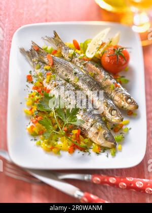 Marinierte Sardinen mit drei Paprika Stockfoto