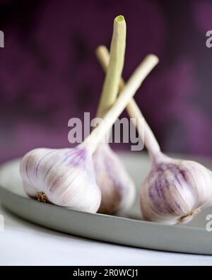 Köpfe von Knoblauch Stockfoto