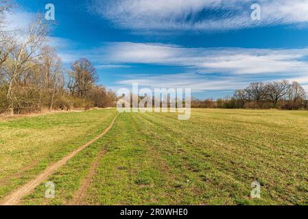 Frühlingswiesen mit Wanderwegen und Bäumen in der Nähe von Studenka in der tschechischen republik Stockfoto