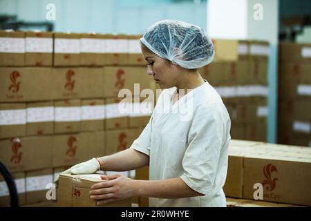 Kostanay, Kasachstan - 14. Mai 2012: Moderne Süßwarenfabrik Bayan-Sulu. Junge asiatische Arbeiterin im Lager. Pappkartons auf dem Hintergrund. Stockfoto