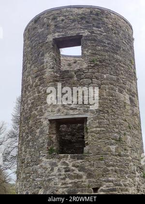 Alter keltischer Turm, Blarney Castle in Irland, alter architektonischer Hintergrund Stockfoto