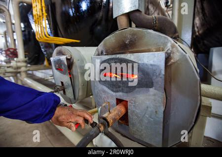 Nahaufnahme der Flamme des Biogasöfens und der Hand des Bedieners Stockfoto