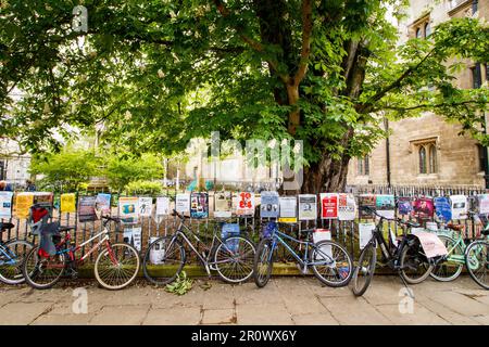 Fahrräder im Zentrum von Cambridge. Cambridge ist bekannt für Fahrräder. Das Stadtzentrum ist auf Kraftfahrzeuge beschränkt. Als Universitätsstadt ist Radfahren bei Studenten sehr beliebt. Stockfoto