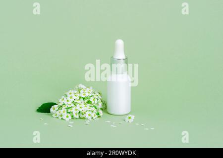 Weiße Serumflasche und kleine weiße Blumen auf grünem Hintergrund. Hautpflege, Naturkosmetik-Konzept. Nahaufnahme. Stockfoto