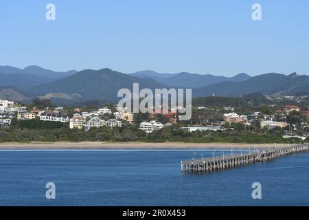 Coffs Hafen von Muttonbird Island: Die beste Tapete mit Meer, Sand, Sonne, Anlegestelle und Hinterland zusammen. Es ist ein wunderbares Reiseziel für Familien Stockfoto