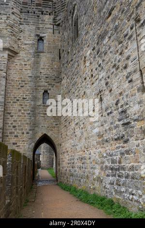 Mittelalterliche Burg und befestigte Stadt Carcassonne, Okzitanien, Frankreich Stockfoto