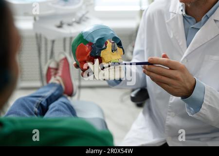 Nahaufnahme eines nicht erkennbaren Zahnarzthaltemodells und Demonstration der Zahnputztechnik in der Zahnklinik Stockfoto