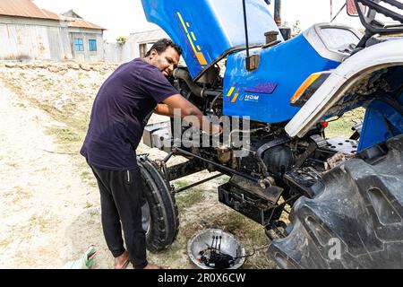 Ein junger Techniker repariert den Motor und die Ölpumpen eines Traktors. Landwirtschaftliche Technologie bei Sonnenuntergang reparieren. Öffnen Sie die Motorhaube des Traktors Stockfoto
