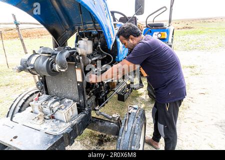 Landwirtschaftliche Technologie bei Sonnenuntergang reparieren. Öffnen Sie die Motorhaube des Traktors, den Motor. Bauernmechaniker, der den Motor eines blauen Traktors repariert Stockfoto