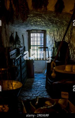 Apothekenmuseum, Burgmuseum über die Geschichte der Apotheke mit über 20.000 Ausstellungen über 2000 Jahre medizinische Wissenschaft und Pharmazie, einschließlich Glasapothek Stockfoto