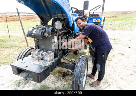 Öffnen Sie die Motorhaube des Traktors. Landmaschinenmechaniker arbeitet an blauem Traktor. Ein junger Mechaniker repariert Traktormotor und Ölpumpe Stockfoto