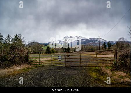 Ein rustikales Tor und eine staubige Straße stehen vor einer malerischen Bergkette in der Nähe von Umpqua Stockfoto