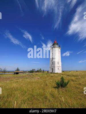 Ein malerischer Blick auf einen weißen Leuchtturm, der an einem sonnigen Tag hoch auf üppigem grünen Gras steht Stockfoto