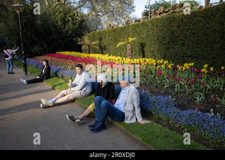 Touristen genießen die Krönungsblumen und den Abendsonnenschein in den Victoria Embankment Gardens im Zentrum von London, England, Großbritannien Stockfoto