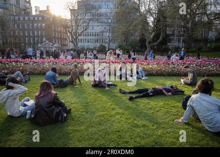 Touristen genießen die Krönungsblumen und den Abendsonnenschein in den Victoria Embankment Gardens im Zentrum von London, England, Großbritannien Stockfoto