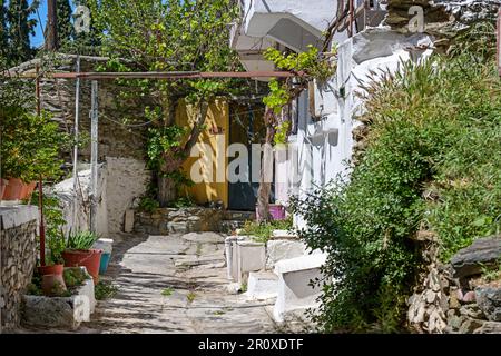 Schmaler Hinterhof in Ani Poli, der historischen oberen Altstadt von Thessaloniki in Griechenland, Dekoration mit Topfpflanzen auf dem gepflasterten Boden und Wein o Stockfoto