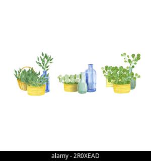 Wasserfarbe von Hand gezogenes isoliertes Set, Zweige, Pflanzen, Blätter, Gras, Glasvasen und -Flaschen, Holzkisten und -Körbe Stockfoto