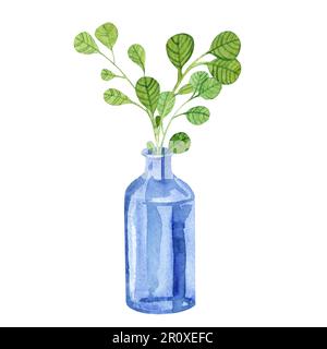 Isolierte Glasvasen mit Zweigen in Aquarell, Zweige in einer Glasflasche in Aquarell, Gras, Behälter, Pflanzen, Blätter Stockfoto
