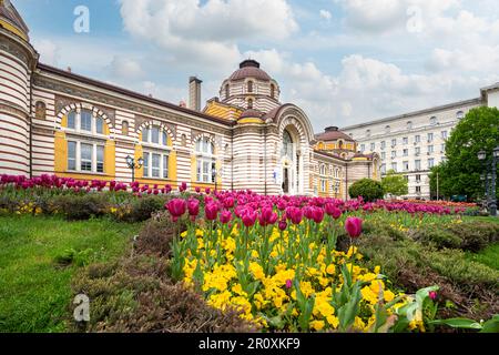 Sofia, Bulgarien. Mai 2023. Außenansicht des Museumsgebäudes zur regionalen Geschichte im Stadtzentrum Stockfoto