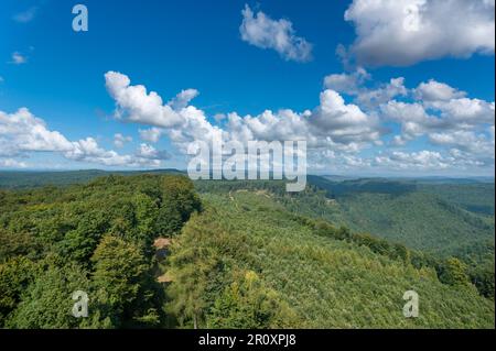 Blick vom Luitpold-Turm über den Pfalzwald, Merzalben, Pfalz, Rheinland-Pfalz, Deutschland, Europa Stockfoto