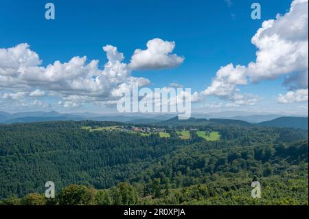 Blick vom Luitpold-Turm über den Pfalzwald, Merzalben, Pfalz, Rheinland-Pfalz, Deutschland, Europa Stockfoto