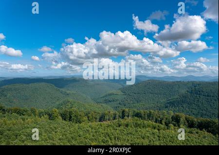 Blick vom Luitpold-Turm über den Pfalzwald, Merzalben, Pfalz, Rheinland-Pfalz, Deutschland, Europa Stockfoto