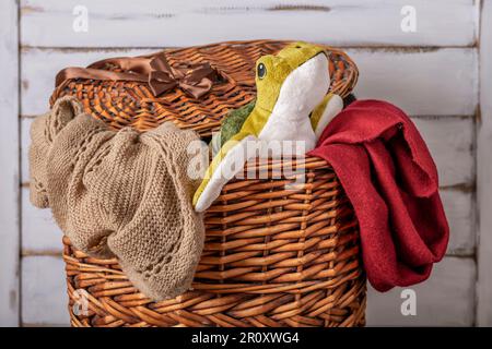 Eine ausgestopfte Schildkröte springt aus einem Korb dreckiger Wäsche Stockfoto