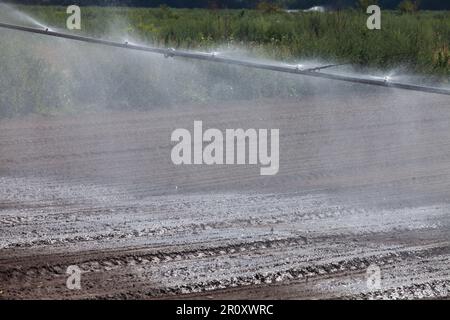 Bewässerung landwirtschaftlicher Felder durch ein modernes Sprühsystem. Nahaufnahme Stockfoto