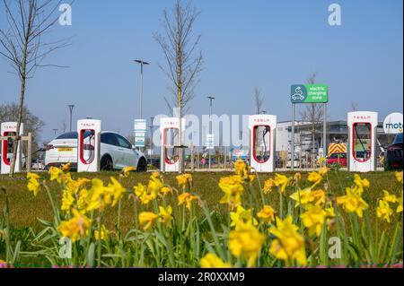 Tesla-Fahrzeuge, die an Tesla Supercharger an einer Autobahnübergabestelle in England aufgeladen werden. Stockfoto