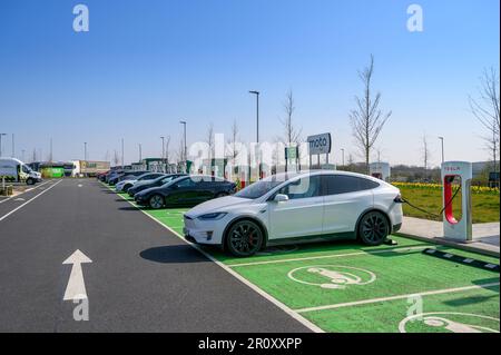 Tesla-Fahrzeuge, die an Tesla Supercharger an einer Autobahnübergabestelle in England aufgeladen werden. Stockfoto