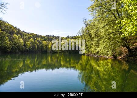 Szmaragdowe-See in Szczecin im Frühling. Waldquellenlandschaft. Stockfoto