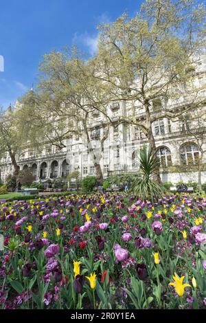 Der Privy Garden of the Palace of Whitehall war ein großer geschlossener Raum in Westminster, London Stockfoto