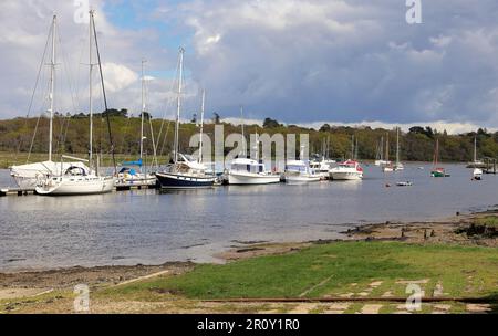 Beaulieu River in Hampshire bei Bucklern mit verankerten Segelbooten Stockfoto