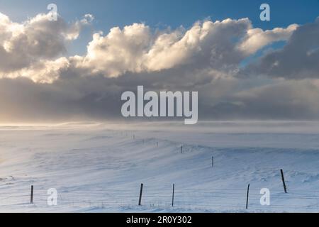 Panoramablick über schneebedeckte landwirtschaftliche Landschaft mit Zäunen in Island mit dramatischer Wolkenlandschaft aus dunklen Schneewolken, die Platz für starke Sonne machen Stockfoto
