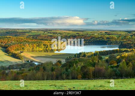 Swinsty Reservoir Sonnenlicht (weite, farbenfrohe Bäume auf Hügeln, ruhiges Wasser, sonniger Morgen, blauer Himmel) - Washburn Valley, Yorkshire England Großbritannien. Stockfoto