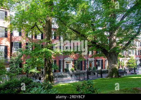 Boston, Massachusetts, USA – August 2022; Teilblick auf den Park am Louisburg Square, umgeben von Häusern der Greek Revival im Viertel Beacon Hill Stockfoto