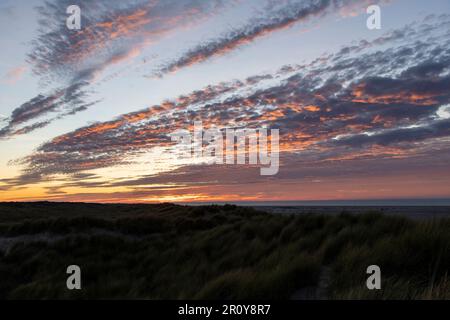 Panoramablick auf den Sonnenuntergang über den Dünen auf der Insel Texel in den Niederlanden mit langen orangefarbenen Wolken am Himmel und Dünen-Gras Stockfoto