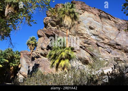 Andreas Canyon Felsformation Stockfoto