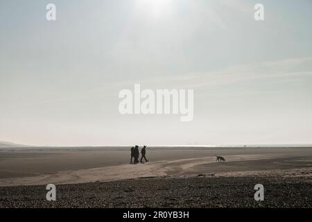 Panoramablick über den breiten Strand auf der Insel Texel, Niederlande, mit der Silhouette von Menschen und Hunden, die am Strand spazieren Stockfoto