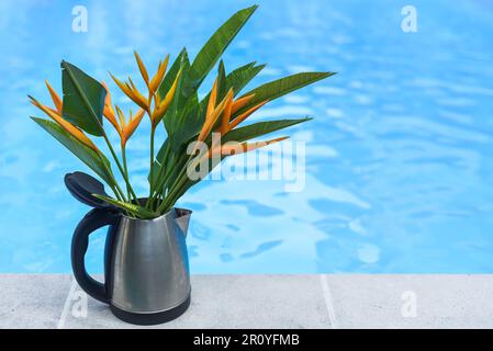 Strauß von Heliconia-Blüten im offenen Kessel gegen blaues Wasser Stockfoto