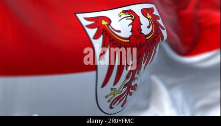 Die Brandenburger Staatsflagge winkt im Wind. Rote über weiße Flagge mit rotem Adlerwappen. Rendern der 3D-Darstellung. Selektiver Fokus. Flatternder Stoff Stockfoto