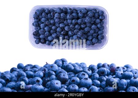 Frische Heidelbeere als Hintergrund isoliert auf weißem Hintergrund. Stockfoto