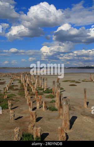 Das Foto wurde in der Nähe der Stadt Odessa in der Ukraine gemacht. Das Bild zeigt die Überreste eines hölzernen Piers auf einer salzigen Flussmündung namens Kuyalnik. Stockfoto