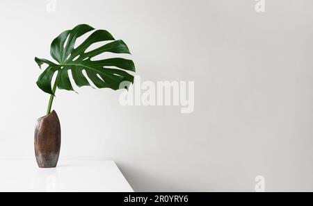 Monstera Deliciosa oder Schweizer Käse Pflanzenblatt in brauner Vase auf hellem Hintergrund, minimalistische Dekorationsideen Stockfoto