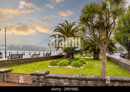 Farbenfroher Garten am Meer in Torquay, Devon, Großbritannien. Stockfoto