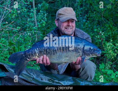 Karpfenangler hält seinen Fang aufrecht Spiegelkarpfen der Angler hat ein großes Lächeln im Gesicht. Modellversion für dieses Bild verfügbar. Stockfoto