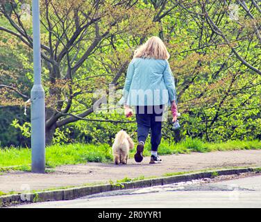 Glasgow, Schottland, Vereinigtes Königreich, 10. Mai 2023. UK Weather: Bei Sonnenschein im Stadtzentrum gingen die Einheimischen auf die Straßen, um das Stadtleben zu genießen. Credit Gerard Ferry/Alamy Live News Stockfoto