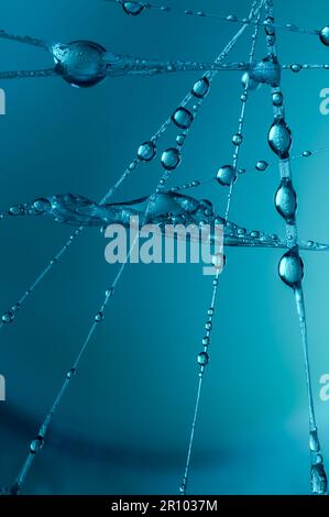 Makro aus Wassertropfen auf Spinnennetz, abstrakt, dynamisch, dekorativer Hintergrund, futuristische, stilvolle Muster von Licht und Wasser, Makrofotografie, f Stockfoto