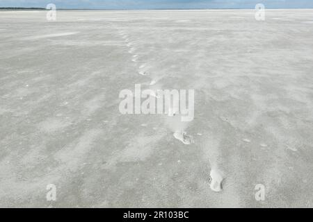 Fußabdrücke im Sand eines riesigen Strandes, der zum Horizont führt, Sand, der über den Strand weht Stockfoto