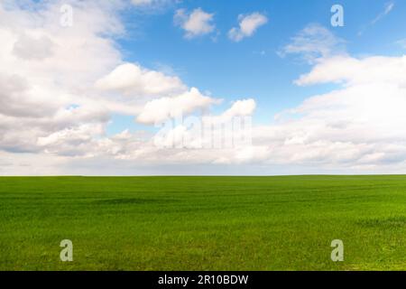 Unschärfe-Effekt auf blauem Himmelshintergrund mit winzigen weißen Wolken und grüner Wiese. Blauer Panorama-Himmelshintergrund mit Wolken. Grünes Feld und blauer Himmel mit Licht Stockfoto